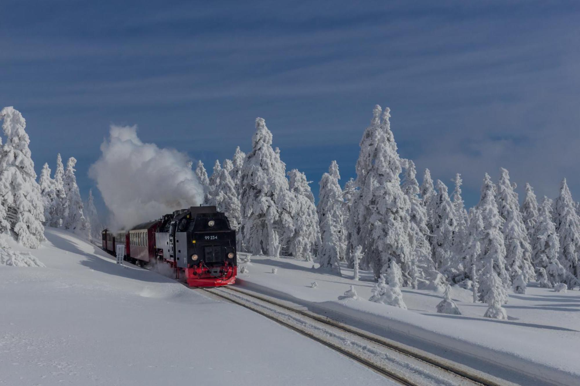 Fewo Schloesschen #Innenstadt#Garten#Ruhige Lage Von Harztraveler Wernigerode Bagian luar foto